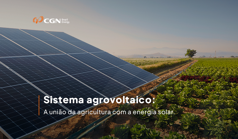 Sistema agrovoltaico: a união da agricultura com a energia solar.