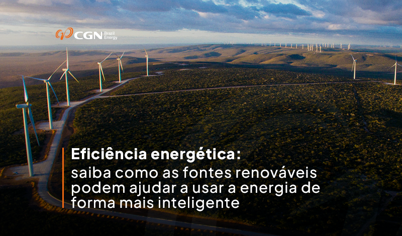 Eficiência energética: saiba como as fontes renováveis podem ajudar a usar a energia de forma mais inteligente