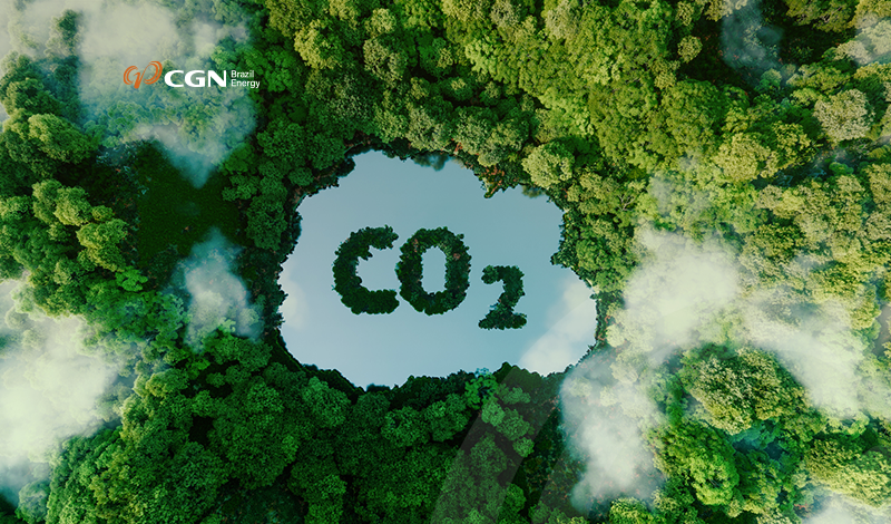 Explorando o Sequestro de Carbono: o impacto das energias renováveis na redução das emissões de CO2