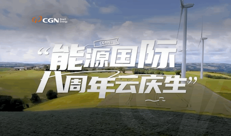 CGNEI celebra 8 anos de história